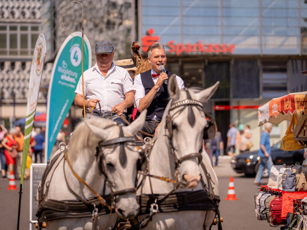 Marktfest